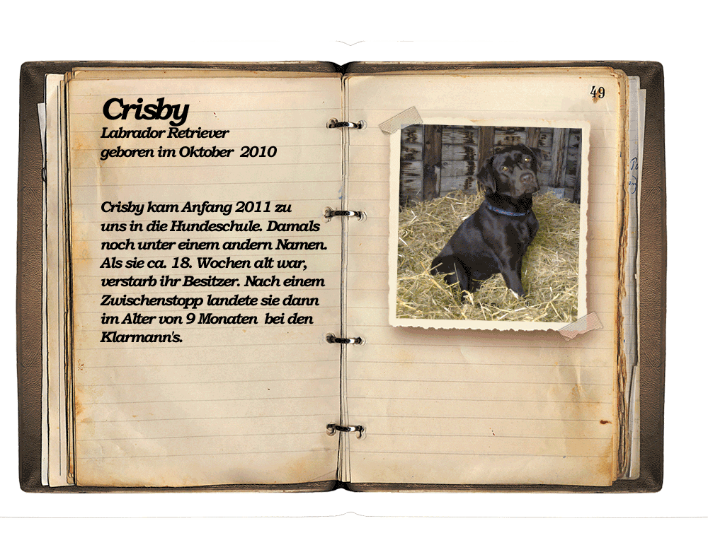 Crsiby-Old-Notebook1